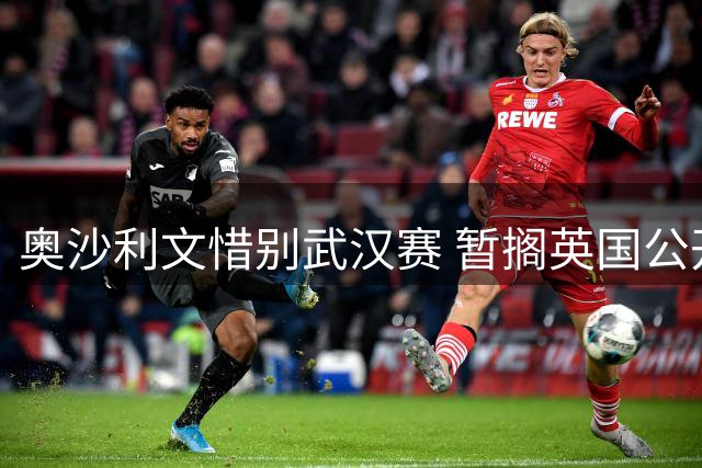 奥沙利文惜别武汉赛 暂搁英国公开赛专注休整